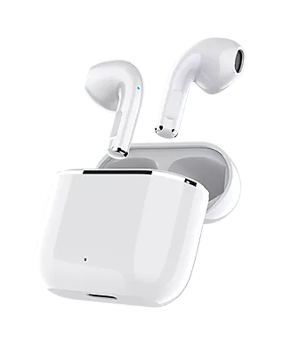 Earbuds